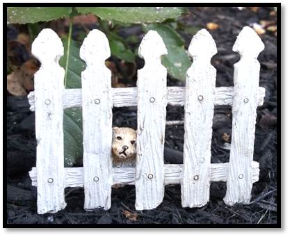Peek-a-boo Fence