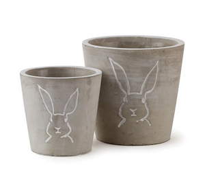 Peter Rabbit Cement Chachepot | Little & Big